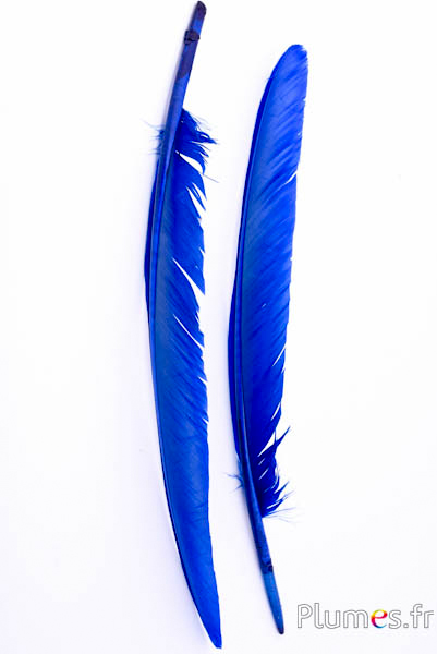 Cygne - 35-40 cm - bleu